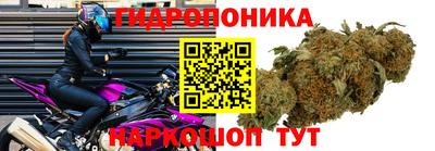 таблы Будённовск