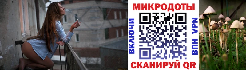 Галлюциногенные грибы Cubensis  Железноводск 