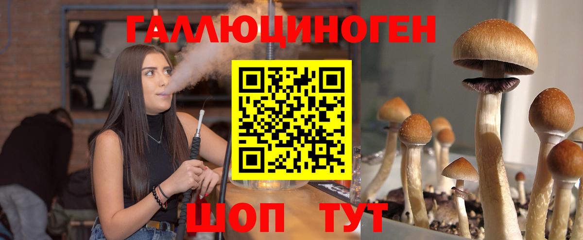 Галлюциногенные грибы Magic Shrooms  Вход с VPN  Железноводск  Псилоцибиновые грибы ЛСД 